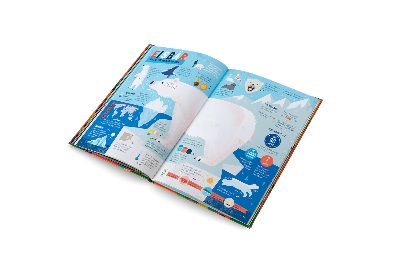 gestalten Die Jäger des Tierreichs Kinderbuch gebunden