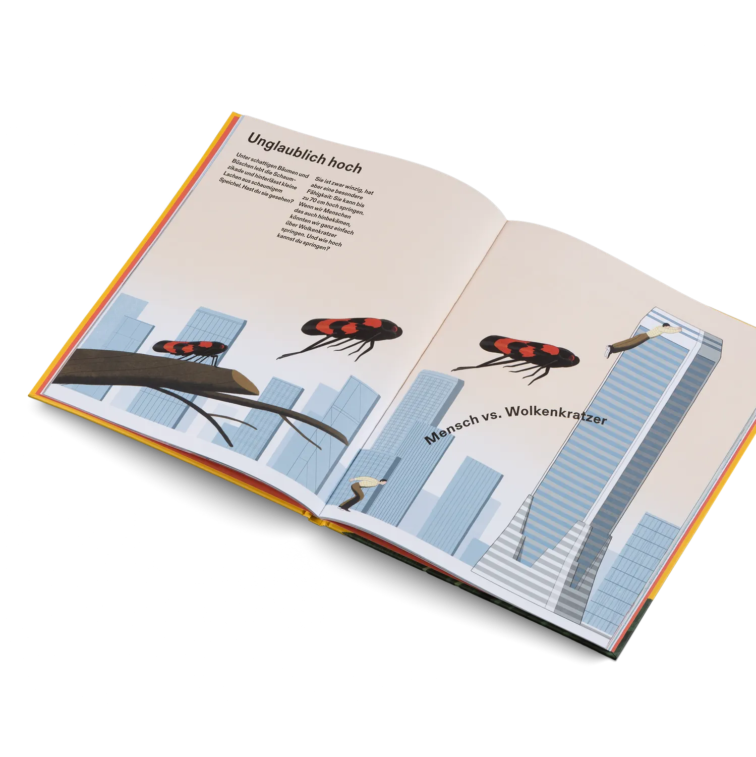 Gestalten Wie groß, wie weit, wie schnell? Die Welt und ich Kinderbuch