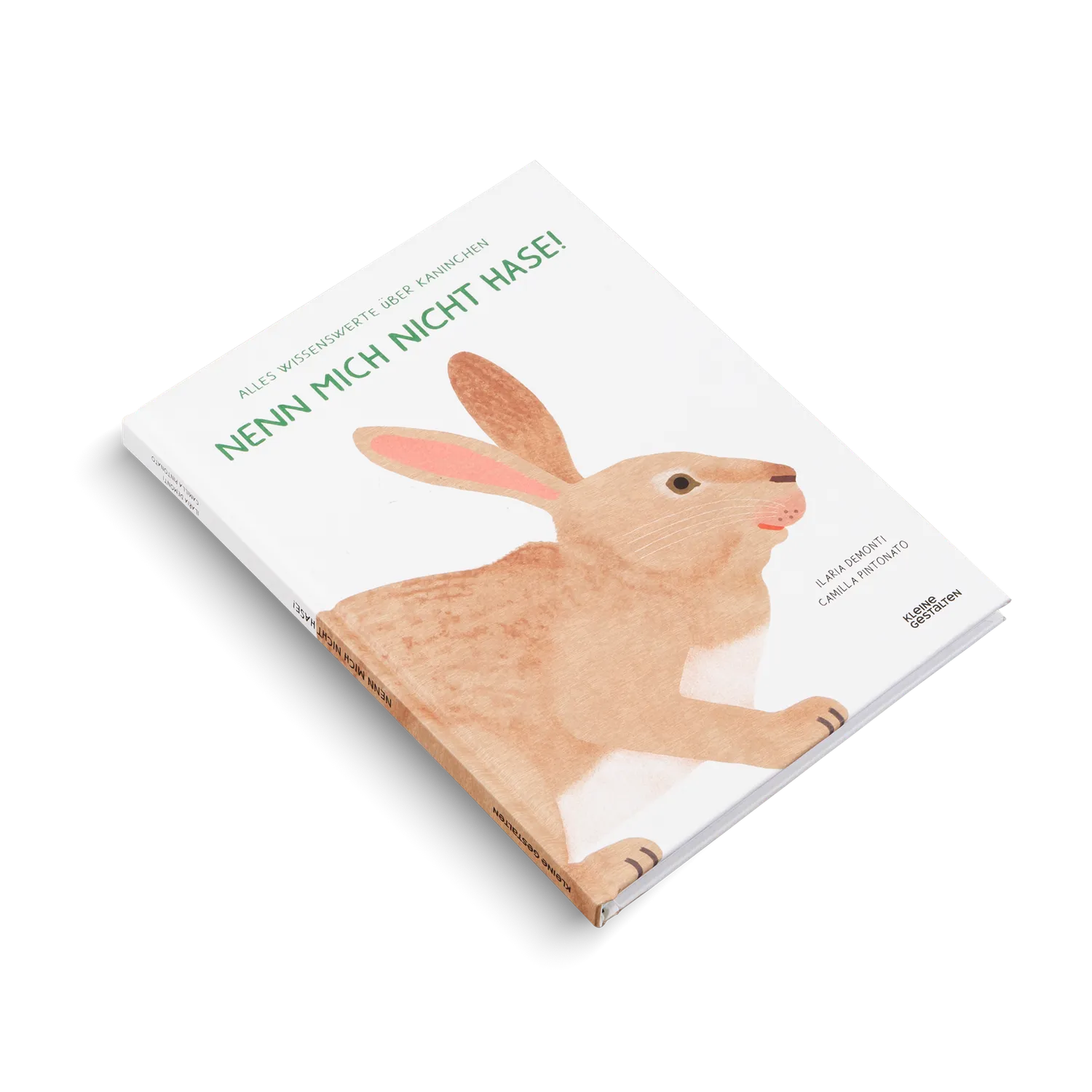 Kleine Gestalten Nenn mich nicht Hase Kinderbuch Kaninchen