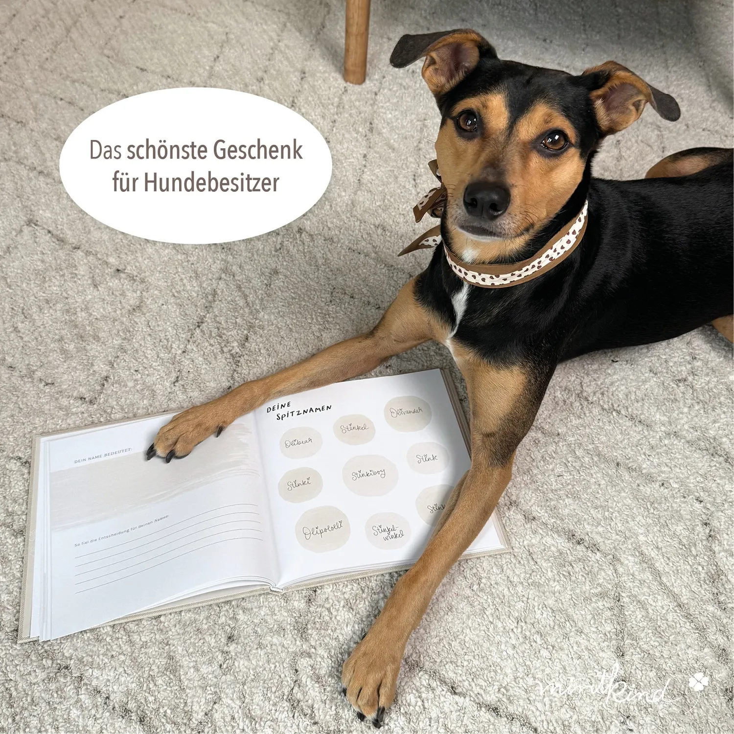 MINTKIND Vier Pfoten Erinnerungsbuch Hund Hardcover