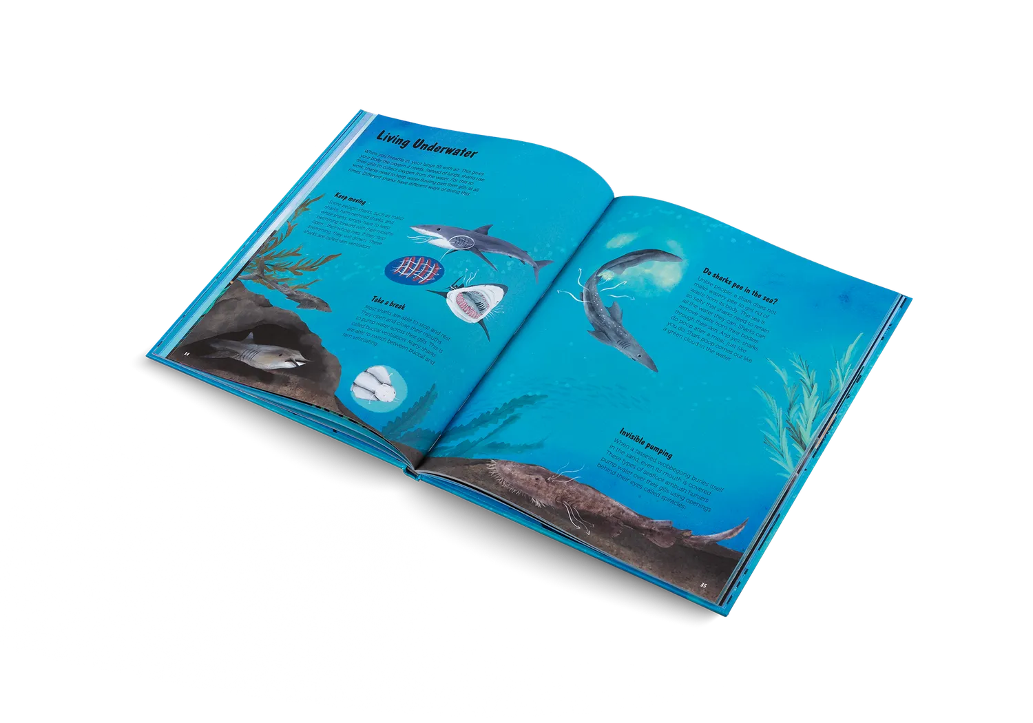 Gestalten The World of Sharks Kinderbuch Haie