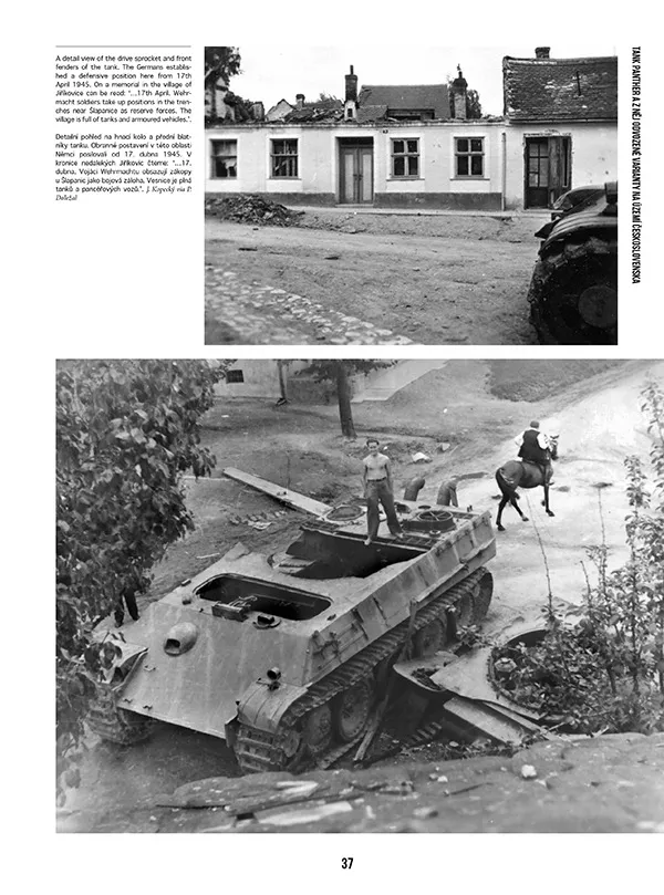 Canfora AFV Photo Album 3 Bildband Panther gebunden